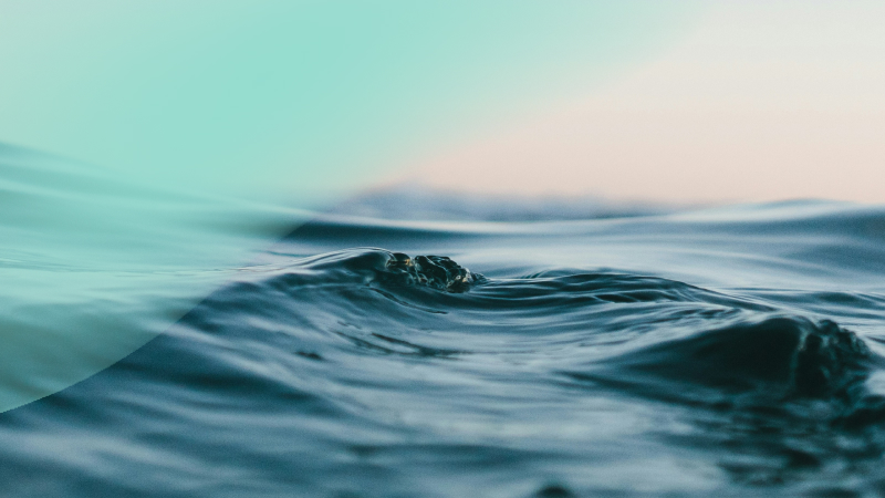 Introducing MariaDB Exa: 1,000x Faster Analytics on Live Data